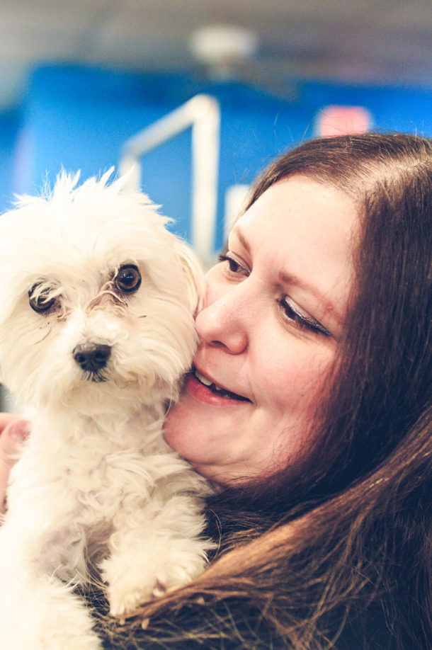 the-good-dog-spot-dog-daycare-chicopee-northampton-ma